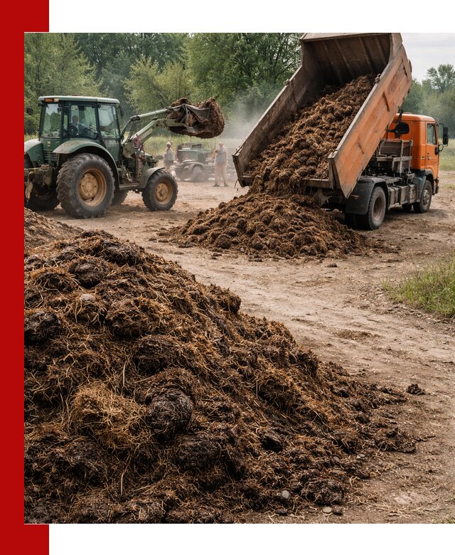Доставка навоза самосвалами в Гае для сельхозпотребностей