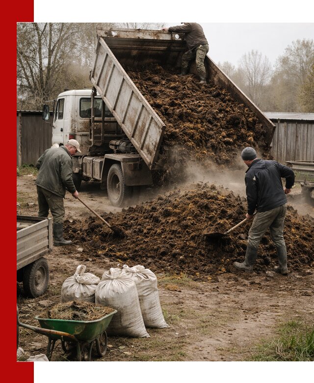 Доставка коровьего навоза самосвалом в Гае
